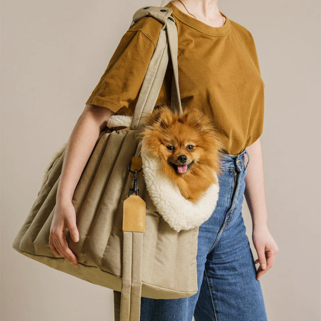 Lightweight Waterproof Pet Carrier Bag – Portable Dog & Cat Handbag for Travel and Fashion LONDYN UPBRINGING