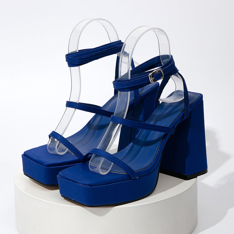 Women's Strap High Heel Chunky Sandals: Fashion Summer Block Heel Pumps LONDYN UPBRINGING