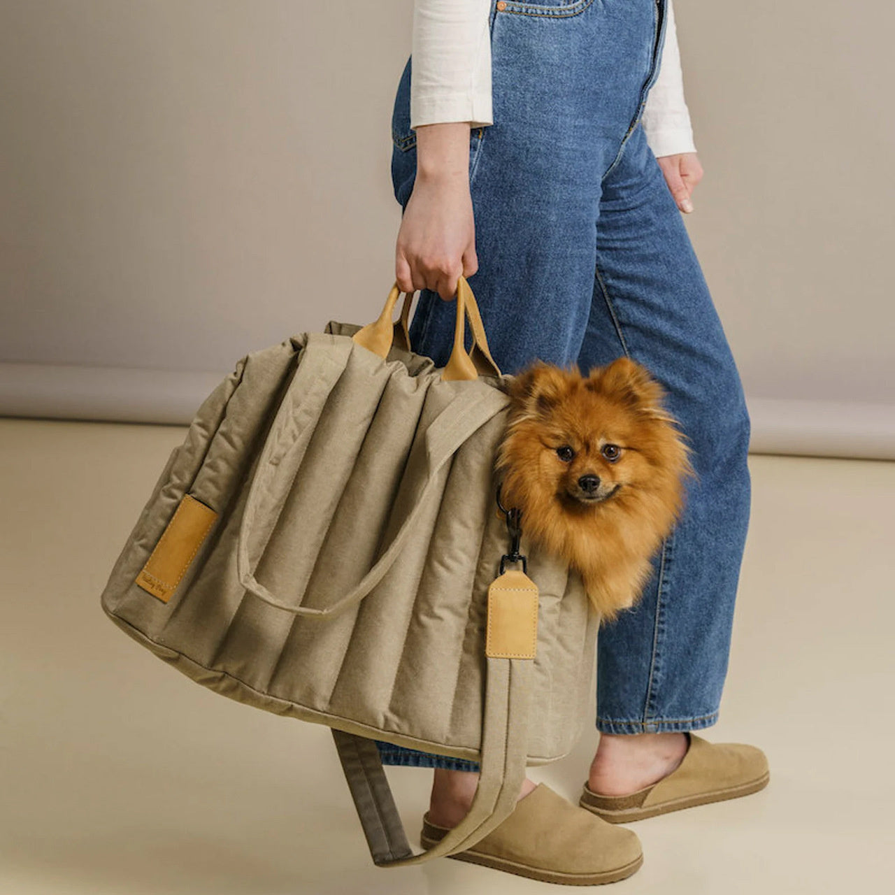 Lightweight Waterproof Pet Carrier Bag – Portable Dog & Cat Handbag for Travel and Fashion LONDYN UPBRINGING